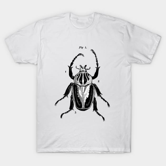 Beetle Fig 4. T-Shirt by LadyMorgan